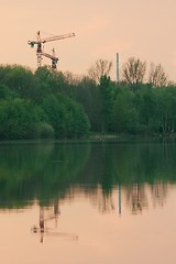 Image showing Cranes in the evening