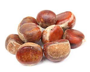 Image showing chestnut isolated