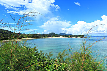 Image showing beach of okinawa