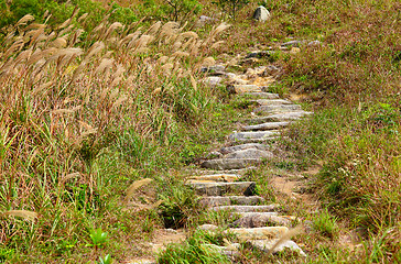 Image showing mountain path for hiking