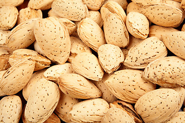 Image showing almond nut