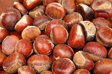 Image showing chestnut