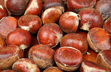 Image showing chestnut