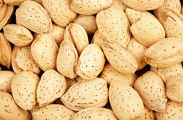 Image showing almond