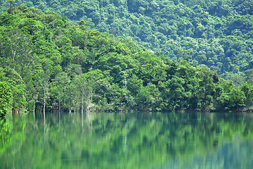 Image showing lake with green tree