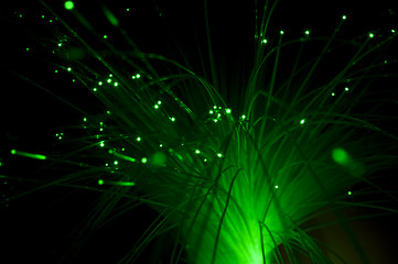 Image showing Optical fibers of fiber optic cable.