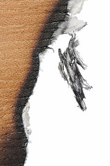 Image showing Burned wooden paper