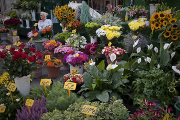 Image showing Flowers for sale