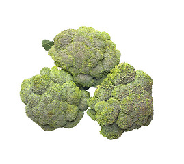 Image showing Broccoli.