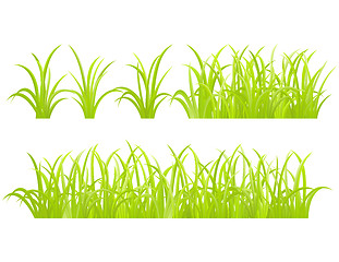 Image showing set of green grass element