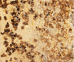 Image showing Abstract rust background