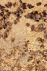 Image showing Abstract rust background