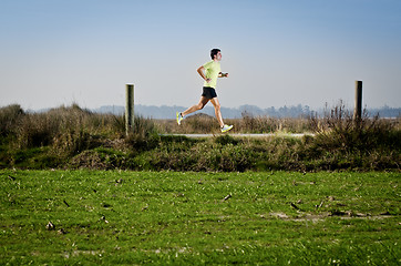 Image showing Running