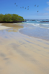 Image showing Isabela landscape