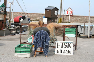 Image showing Fishes for sale