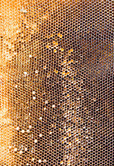 Image showing Honeycomb mesh 