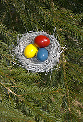 Image showing Silver Easter bird's nest with painted eggs.