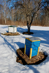 Image showing Bee hives in spring. 