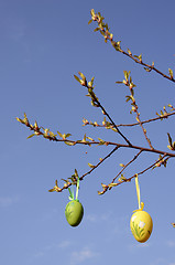 Image showing Easter eggs on the tree.