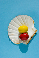 Image showing Easter eggs on the sea shell