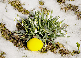 Image showing Easter egg near snowflakes 