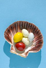 Image showing Easter eggs on the sea shell