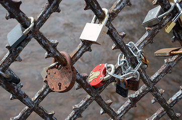 Image showing Locks of married lovers.