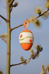 Image showing Easter egg hanging on pussy-willow branch.