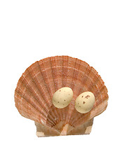Image showing Easter eggs on the sea shell