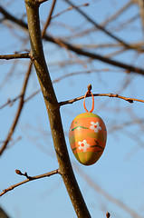 Image showing Easter egg on tree branch