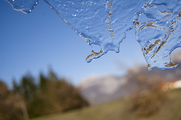 Image showing ice crystals 