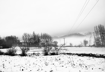 Image showing Winter snow