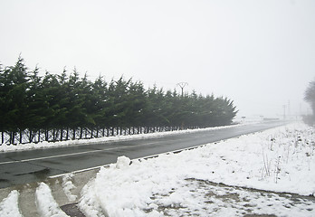 Image showing Winter snow