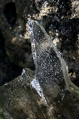 Image showing ice crystals 