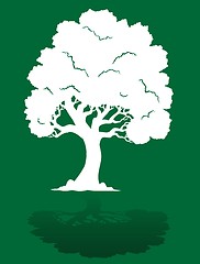 Image showing White tree on green background 1