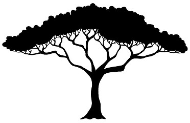 Image showing Tropical tree silhouette