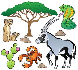 Image showing Savannah animals collection 1