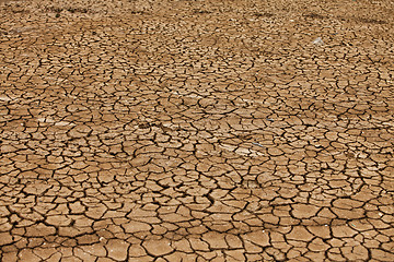 Image showing Dry and cracked earth