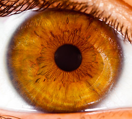 Image showing Human eye close up ...