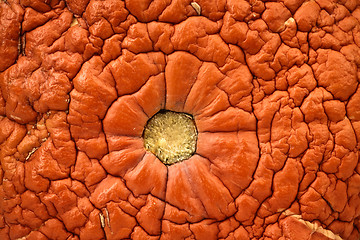Image showing Background from an old pumpkin