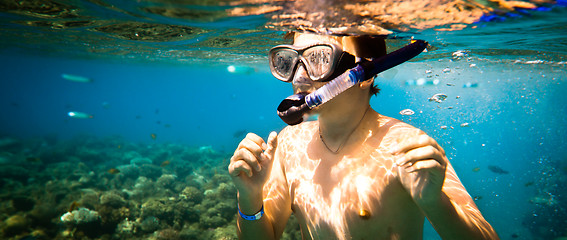 Image showing Snorkeler. Red sea