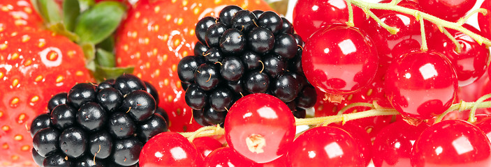 Image showing berrys