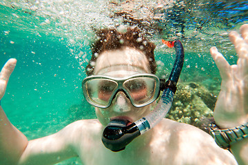 Image showing Snorkeler. Red sea