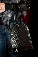 Image showing Female hand with a handbag