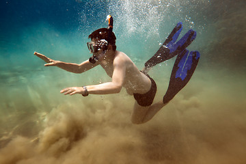 Image showing Snorkeler. Red sea