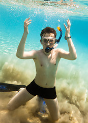 Image showing Snorkeler. Red sea