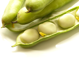 Image showing Broad Beans