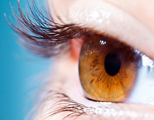 Image showing Human eyelashes close up.