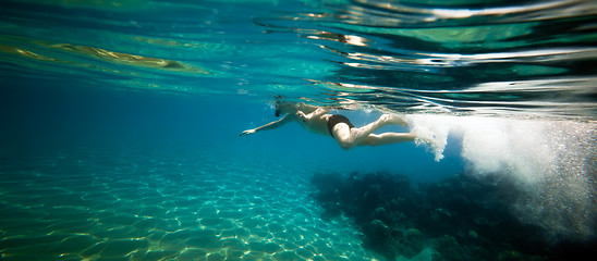 Image showing Snorkeler. Red sea