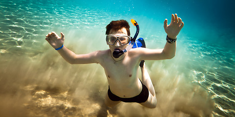 Image showing Snorkeler. Red sea